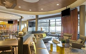 Springhill Suites Tampa North/Tampa Palms